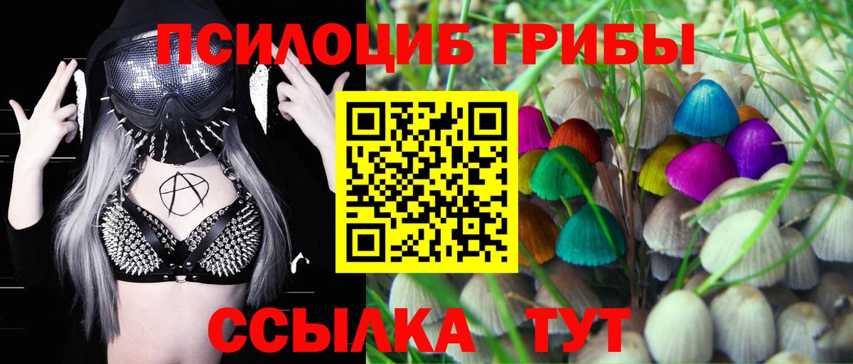 Псилоцибиновые грибы мицелий Бор